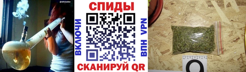 Бутират бутандиол Павлово