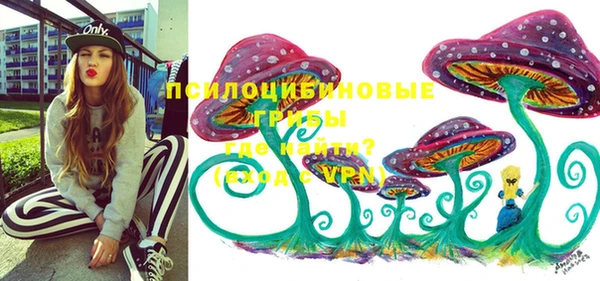 ALPHA PVP Белокуриха