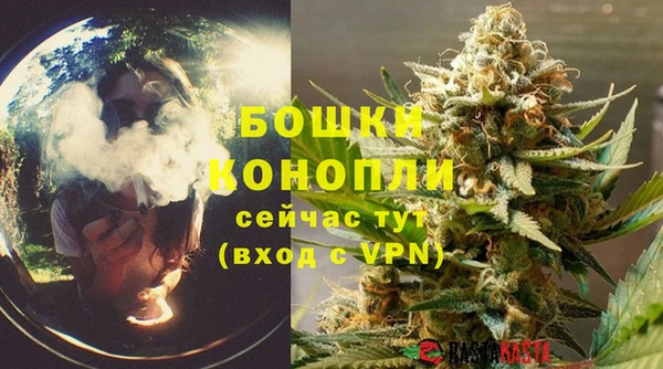 ALPHA PVP Белокуриха