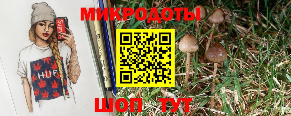 Псилоцибиновые грибы Magic Shrooms Павлово