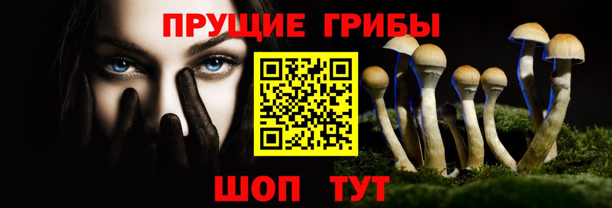 Павлово  Галлюциногенные грибы Cubensis  Вход с VPN 